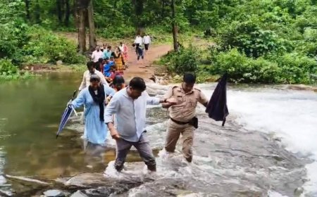 ଜିଲ୍ଲାପାଳ ହେବ ତ ଏମିତି l ନିଜ କାମ ପାଇଁ ଏବେ ସବୁଠି ପ୍ରଶଂସା