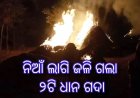 ନିଆଁ ଲାଗି ଜଳି ଗଲା ୨ଟି ଧାନ ଗଦା