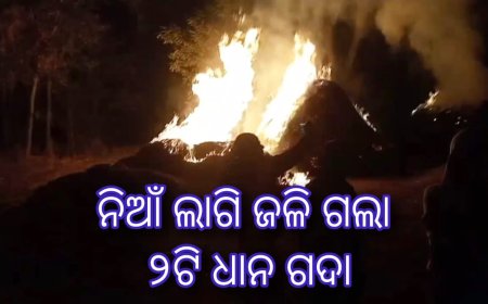 ନିଆଁ ଲାଗି ଜଳି ଗଲା ୨ଟି ଧାନ ଗଦା