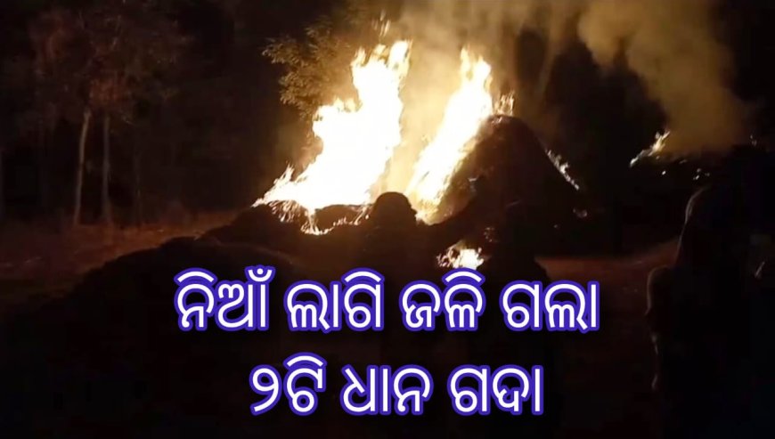 ନିଆଁ ଲାଗି ଜଳି ଗଲା ୨ଟି ଧାନ ଗଦା