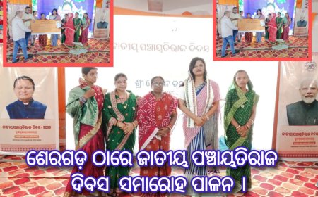 ଶେରଗଡ଼ ଠାରେ ଜାତୀୟ ପଞ୍ଚାୟତିରାଜ ଦିବସ  ସମାରୋହ ପାଳନ ।